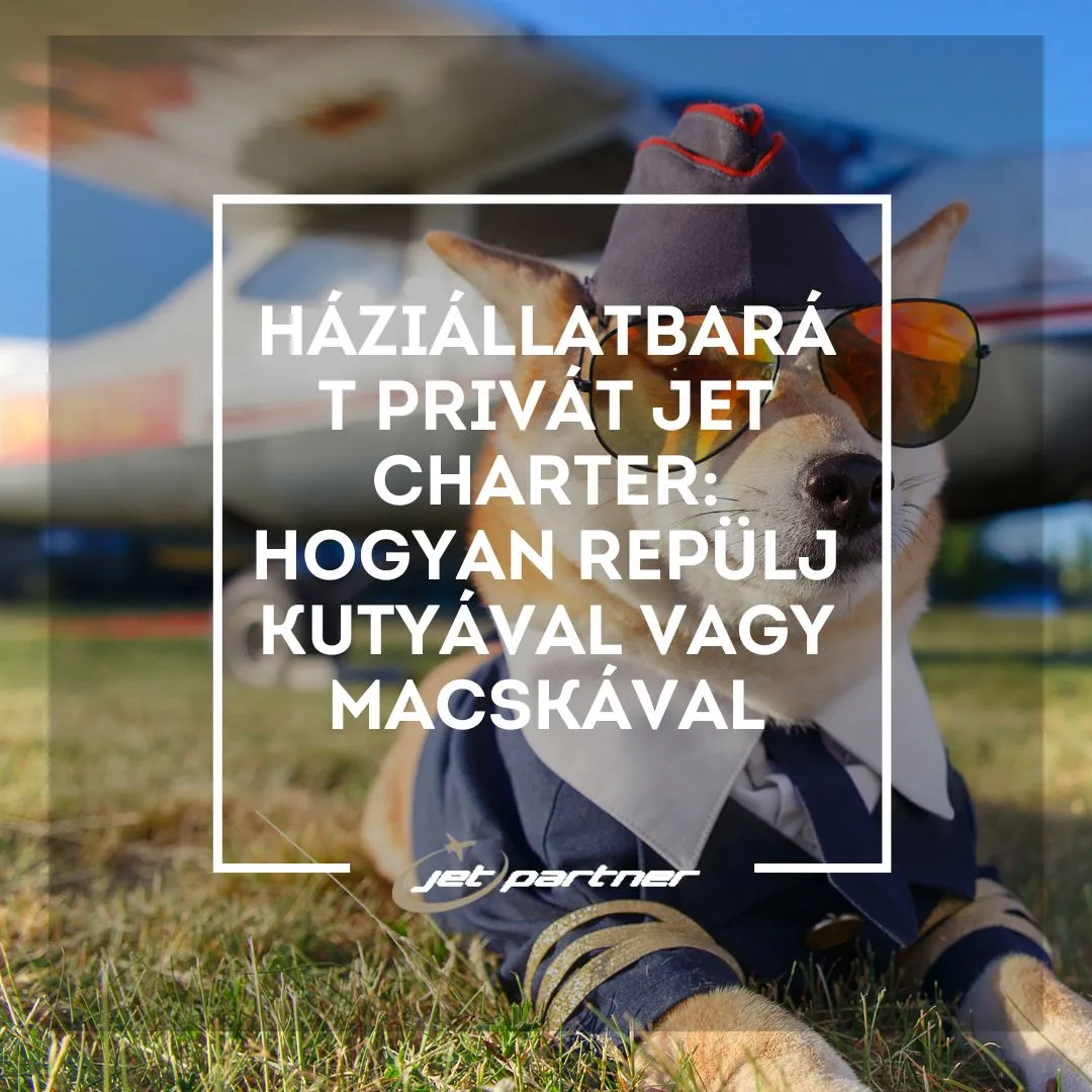 Háziállatbarát privát jet charter Hogyan repülj kutyával vagy macskával Jet Partner