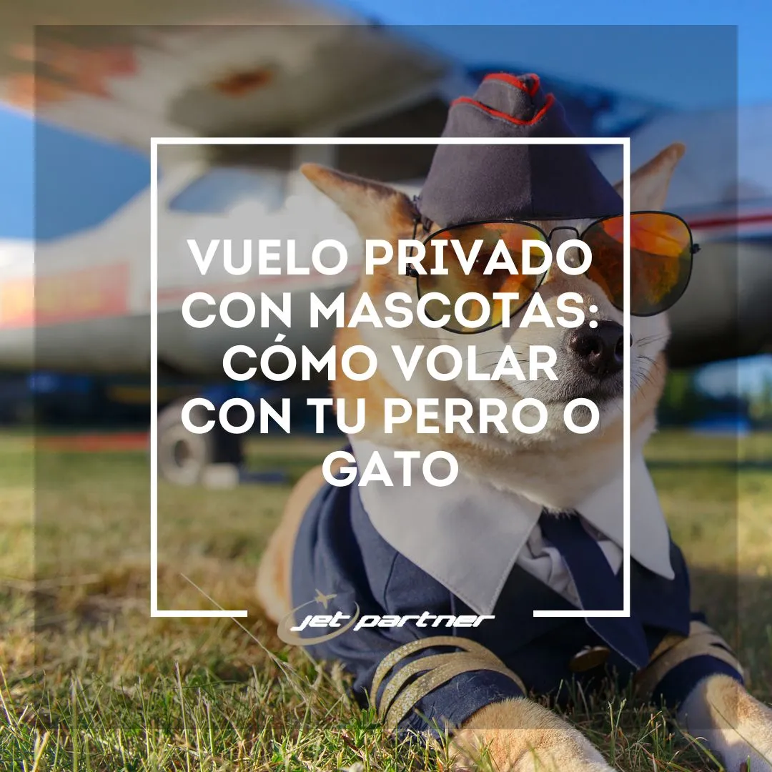 Vuelo privado con mascotas: cómo volar con tu perro o gato | Jet Partner
